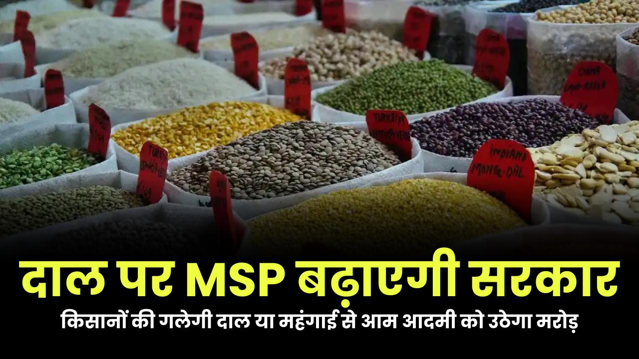 दाल पर बढ़ेगी MSP! किसानों की गलेगी दाल या महंगाई से आम आदमी को उठेगा मरोड़